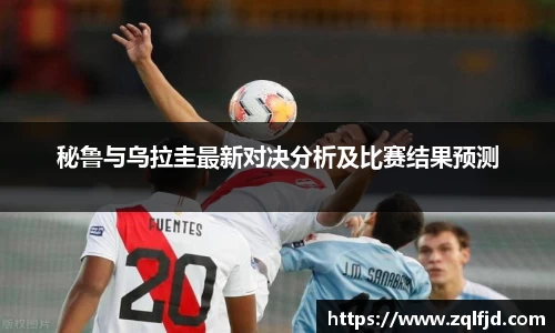 bsports必一体育官网
